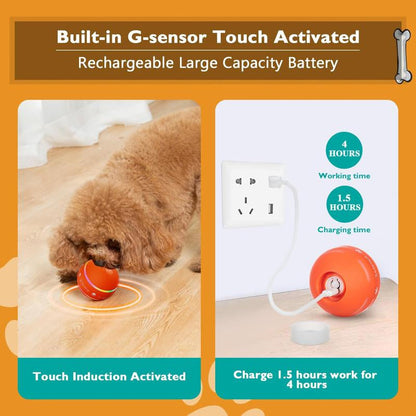 Interactive Bouncing Ball 
