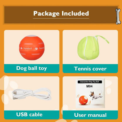Interactive Bouncing Ball 